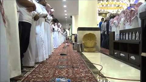 ( والله خلق كل دابة من ماء ... ) تلاوة خاشعة للقار