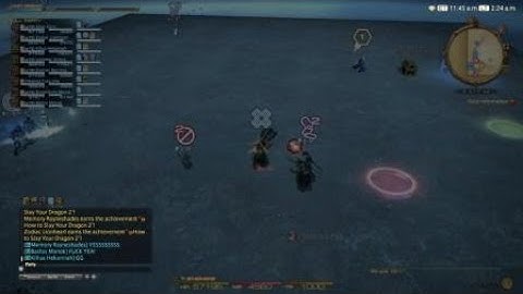 FINAL FANTASY XIV The Minstrel