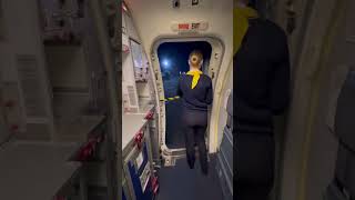 Boeing 737 Door Opening 🇺🇦