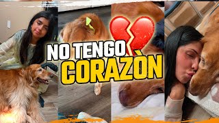 PENNY se Encuentra GRAVE de SALUD - NO TENGO CORAZON.....💔