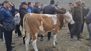 картинка: 6 октября 2025 г. Buvayda Yangiqorgon Mol Bozori Barakalar Daxshat Bo'ldi 
