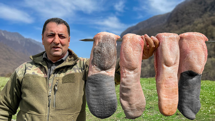 Wild Life and Cooking of a Hermit Chef in a Faraway Mountain! Best Outdoor Recipes by Chef Tavakkul