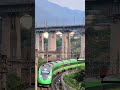#137 🚧 Trains 🛤️ Railway 🚂 LevelCrossings 🚦 Lovers 😍 High-speed .mp4