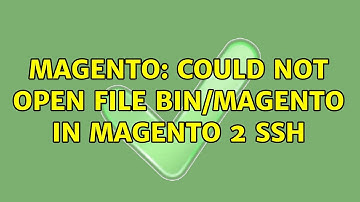 Magento: could not open file bin/magento in magento 2 ssh