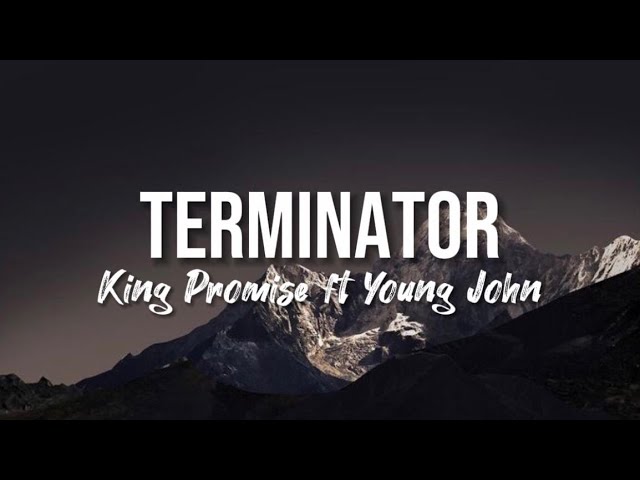 King Promise - Terminator (Lyrics edited by VAK) ft. Young John class=
