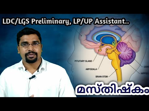 Brain (മസ്തിഷ്‌കം) - LDC/LGS Preliminary Syllabus