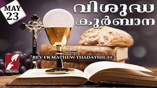 HOLY MASS LIVE @ 6 AM, 23-MAY-2026|FR MATHEW THADATHIL VC|MALAYALAM QURBANA|TODAY MASS|GOODNESS TV
