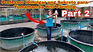 How to Grow Hito Using Scientific Way of Farming Sekreto ng mga Umasenso Part 2