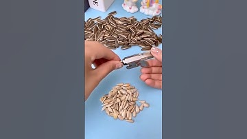 All in one Nut Cracker Tool #shorts #gadgets #nuttool