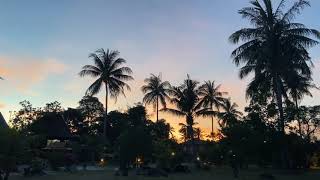 MagiCXbeats - Coastal Sandunes