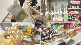 : KOREA VLOG DIARY|      /  /    |24-25.04.2024