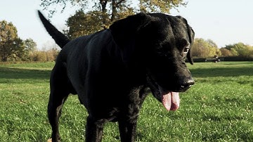 ImmersionRC Ghost first field testing