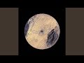 Ivy Lab – Death Don't Always Taste Good | Releases | Discogs