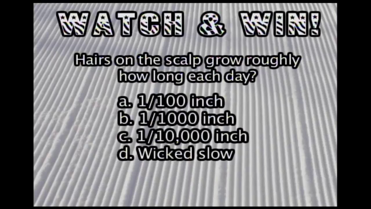 Sunday River TV | Wake Up, Sunday River! and the South Ridge Roof Cam Feed