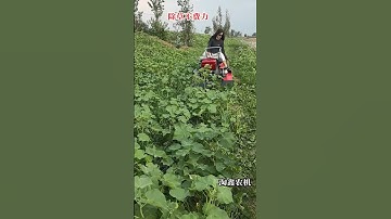 #Multi-function rotary tiller #Straw return to field grass shredder #Yitaoxin agricultural machinery