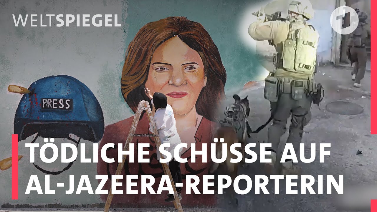 wissen2go: Wie wird man eigentlich Journalist?