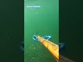 pesca sub #amém #mensagemdefé #jesusteama #oraçãodanoite #amen #jesuslovesyou #fe #pesca