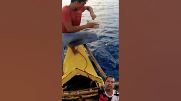 The Best Fishing The Big Tuna Fish Fishboat Fish Fishingtips Fishingline 