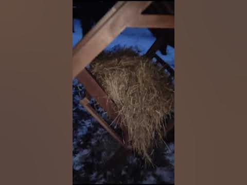 Кормушки ясли для оленей , косуль , коз . овец от ООО Купец. - YouTube