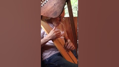 The entertainer on 26 string pine harp