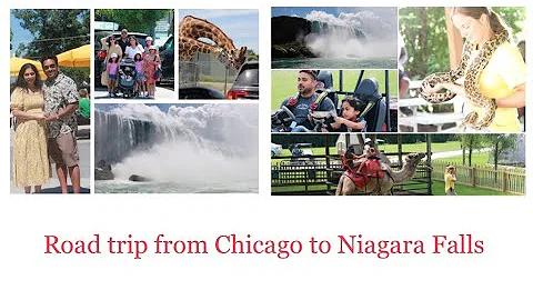 Road Trip | Chicago To Niagara Falls | African Saf...