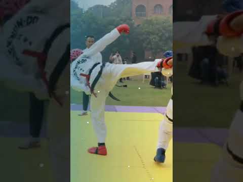 Taekwon-do 32nd championship