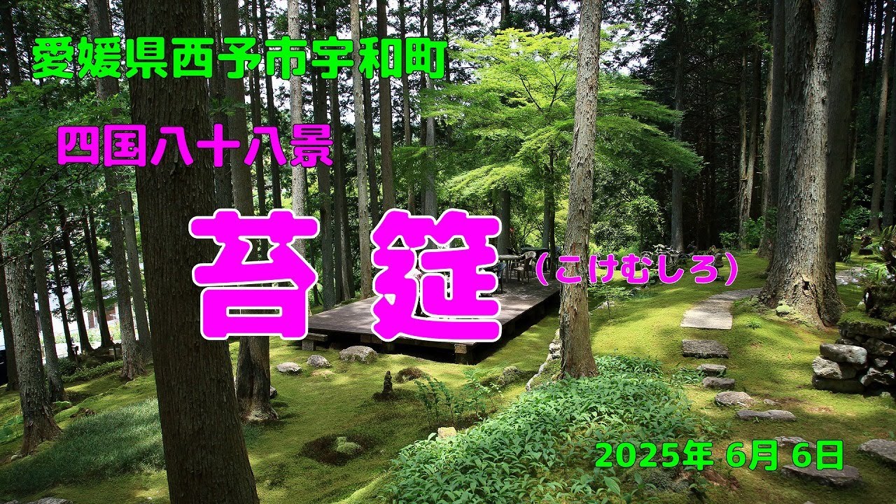 苔筵（こけむしろ）