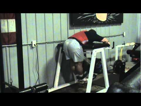Reverse Hyperextension.MPG