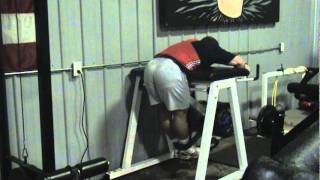 Reverse Hyperextension.MPG