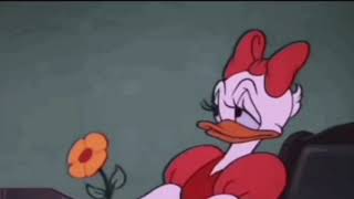 The one that got away (This song will make you cryðŸ˜)