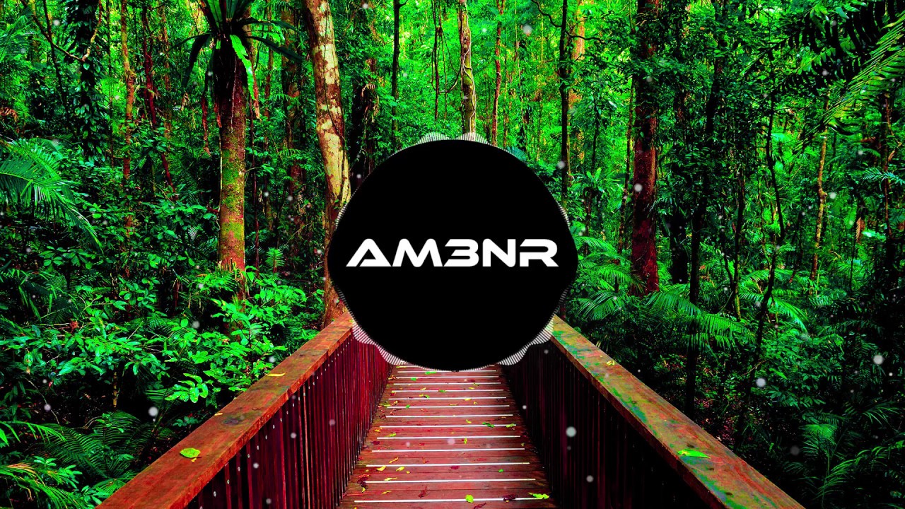 AM3NR - DAINTREE (OUT NOW) (ORIGINAL MIX)