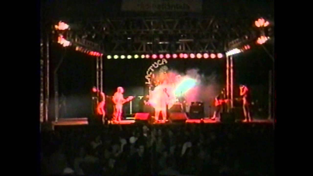 Lactuca Sativa - Gasolina (Abertura Show)