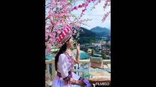 Suab Kho Siab Heev Tsh Aaj 2021-2022