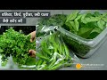 धनिया, मिर्च, पुदीना, करीपत्ता स्टोर करके कैसे रखें ? मेरा तरीका । How I store Coriander leaves etc