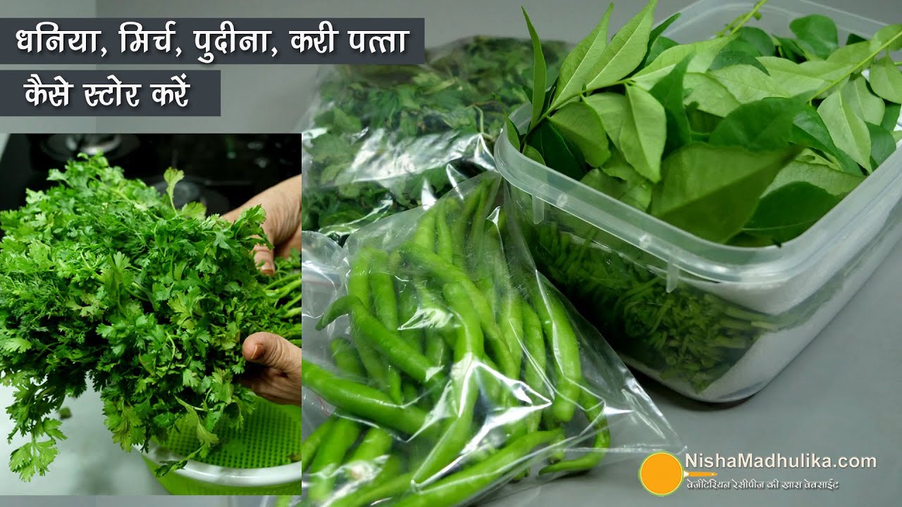 धनिया, मिर्च, पुदीना, करीपत्ता स्टोर करके कैसे रखें ? मेरा तरीका । How I store Coriander leaves etc