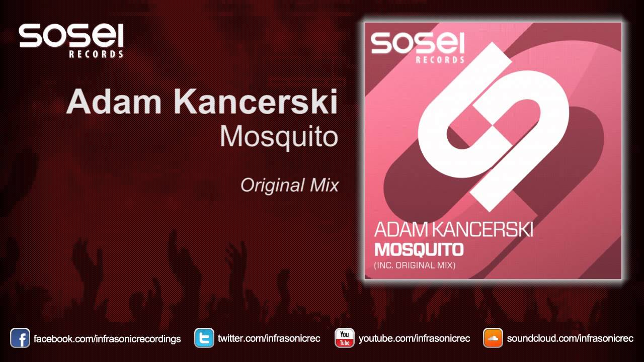Watch Adam Kancerski - Mosquito on YouTube Watch Adam Kancerski - Mosquito on YouTube