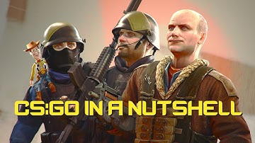 CS:GO IN A NUTSHELL Director