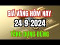 Giá vàng hôm nay 24/09/2024 đồng loạt tăng từ 100.000 đến 1.500.000 đồng/lượng