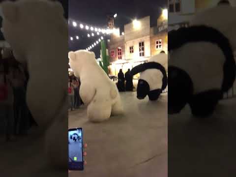 الدب القطبي في الحقيقة هههههه جديد شورت ميمز   دب القطبي