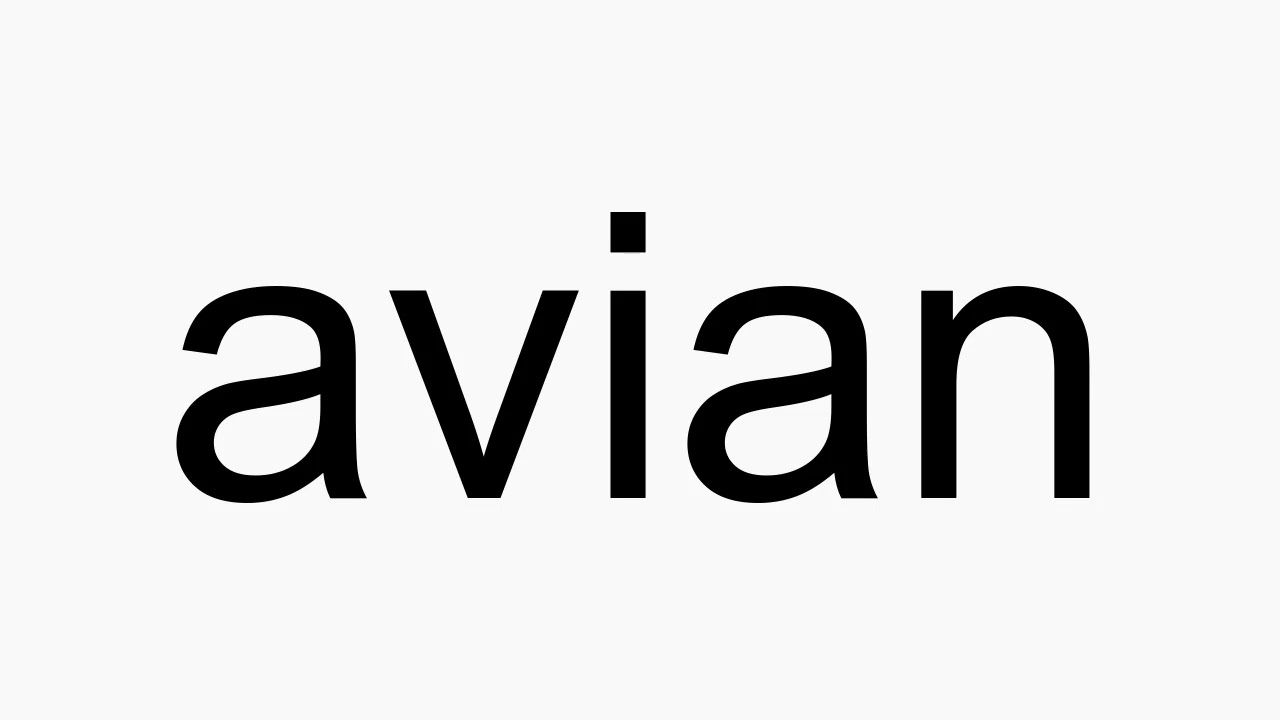 How To Pronounce Avian YouTube How To Pronounce Avian YouTube