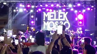 Karanfil - #melekmosso #izmir #torbalı  Gazi Çamlığı konseri Resimi