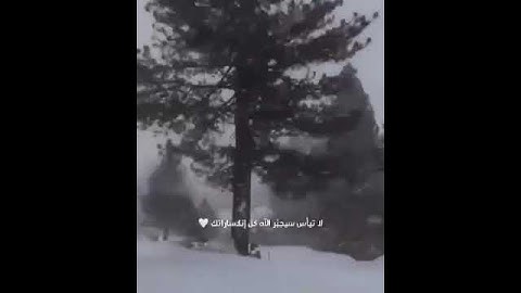 لاتأيئسو من روح الله 🌹تلاوة خاشعة بصوت عذب  سورة يوسف.لا تيأس سيجبر الله كل أنكسار ☝️