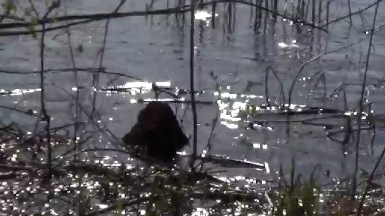 Trance: Der Weg als Paar