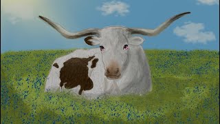 longhorn speed draw