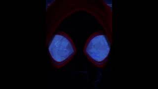 Miles Morales Spiderman