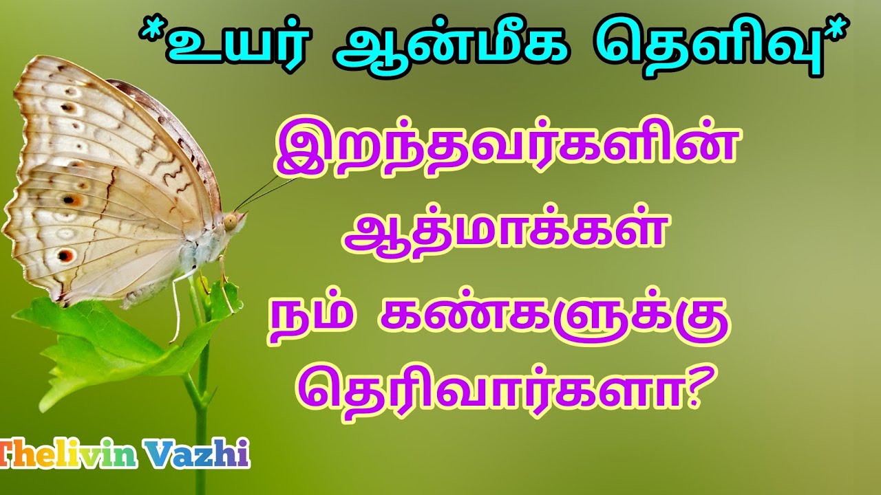 இறந்தவர்களின் ஆத்மாக்கள் நம் கண்களுக்குத் தெரிவார்களா?