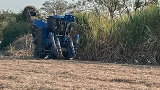 ऊसतोडणी मशिन. || cane harvester #new #royalshetksri #sonalikatractor #farming #marathi #newsong