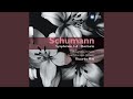 Miniature de la vidéo de la chanson Symphony No. 1 In B-Flat Major, Op. 38 "Spring": Ii. Larghetto