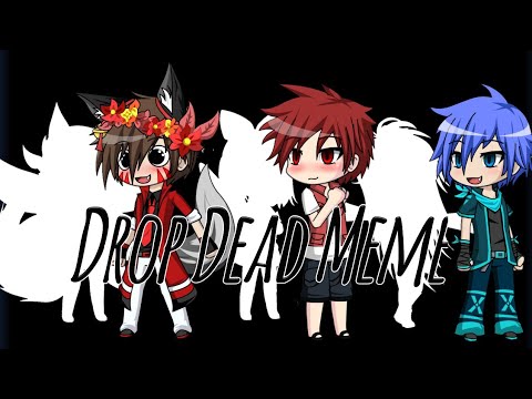 drop-dead-meme|gacha-studio