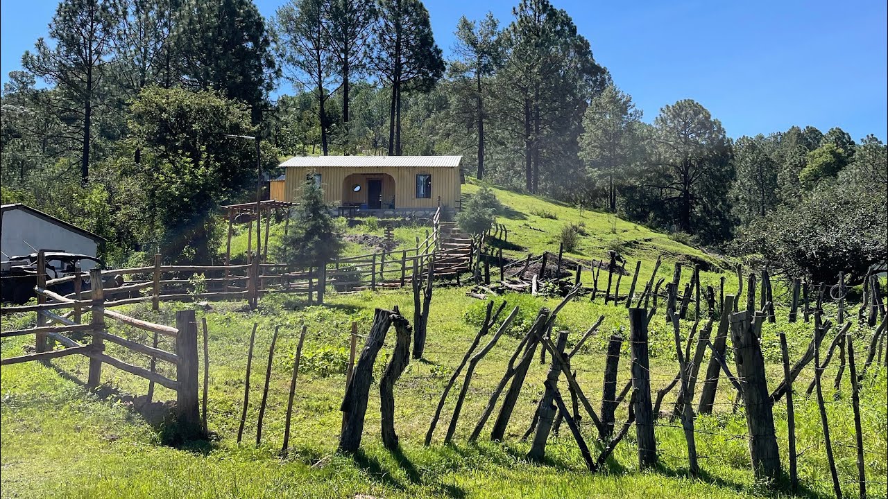 Hermosa la vida de la sierra de alamos sonora